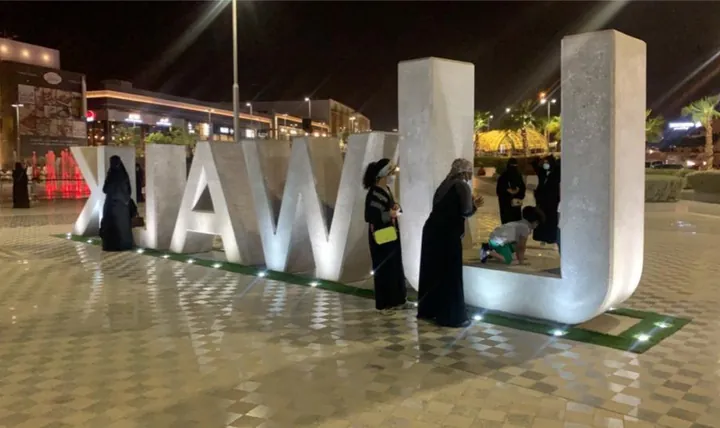 الشعار المجسم